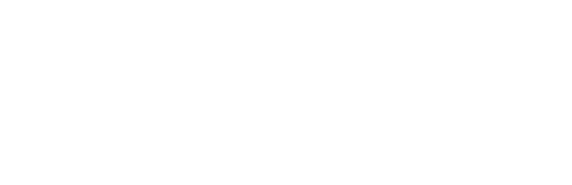 P.I.N.S Korea